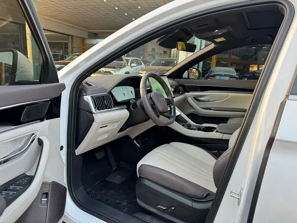 BYD PLUS New Energy — фото 6
