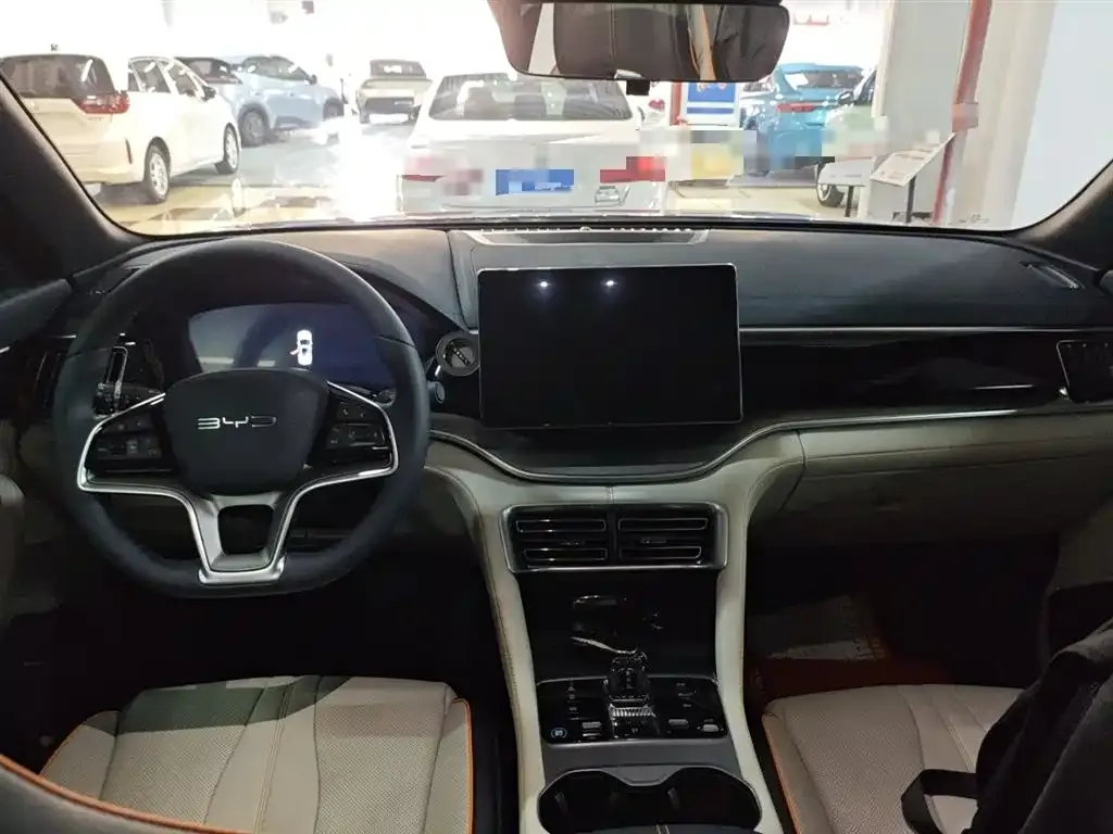 BYD PLUS New Energy — фото 10