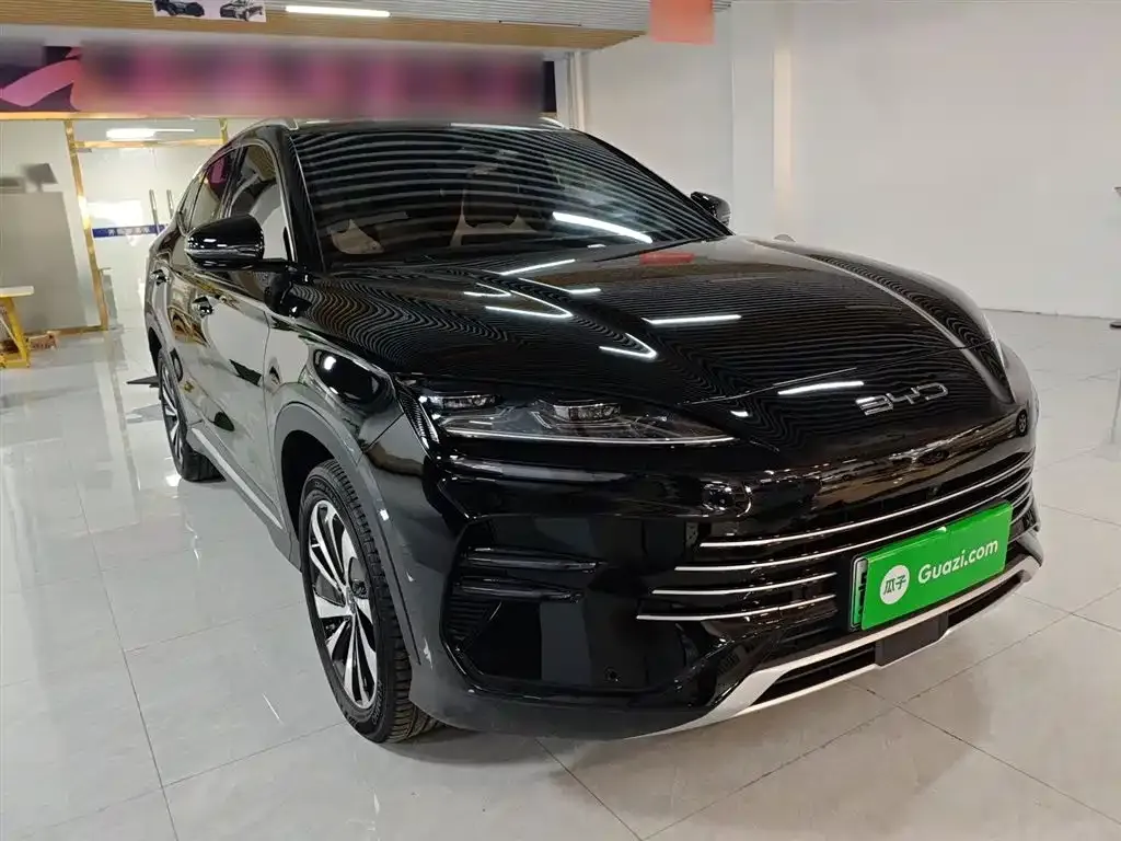 BYD PLUS New Energy — фото 4