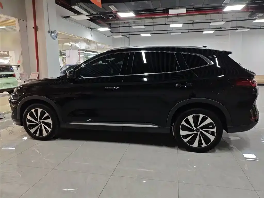 BYD PLUS New Energy — фото 5