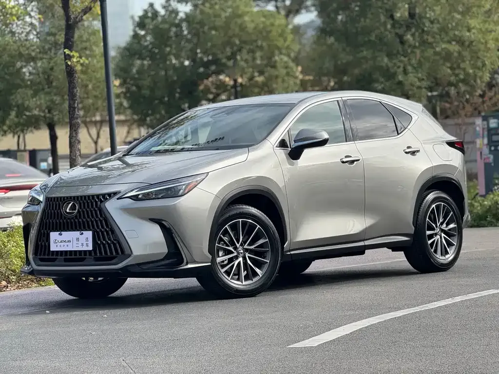 Lexus NX — фото 1