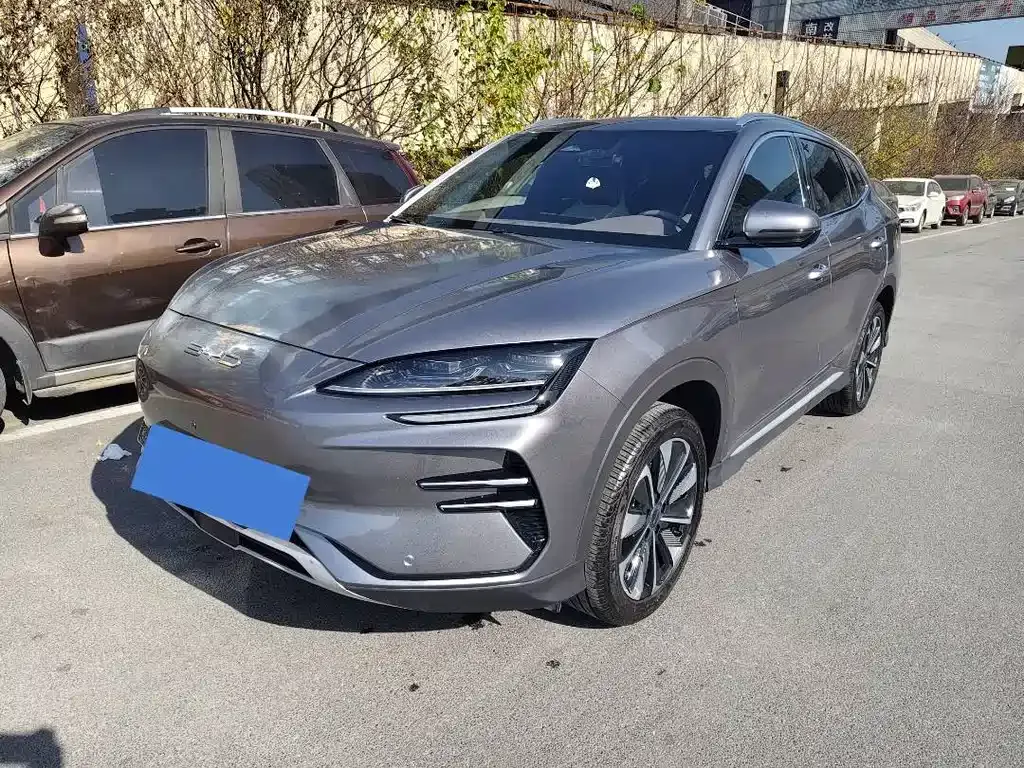 BYD PLUS New Energy — фото 1