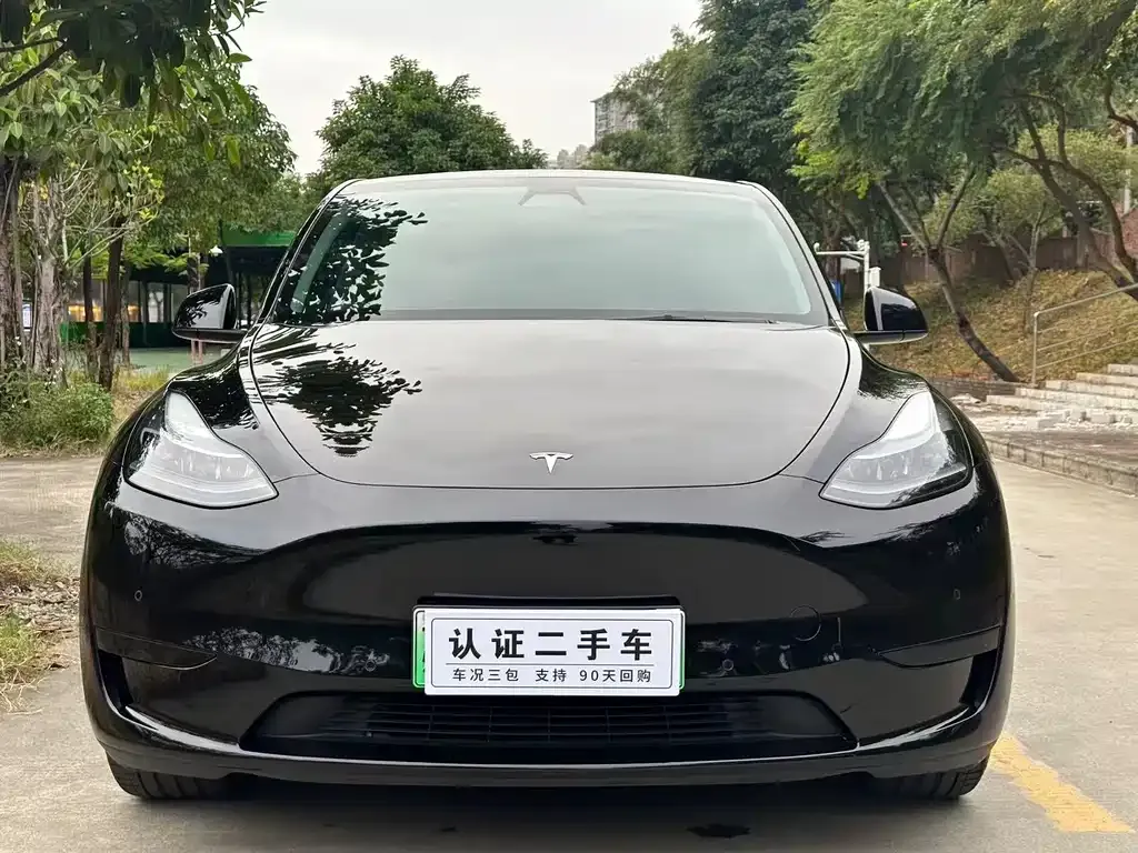 Tesla Model Y — фото 2
