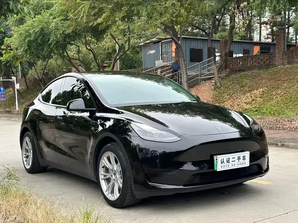Tesla Model Y — фото 3
