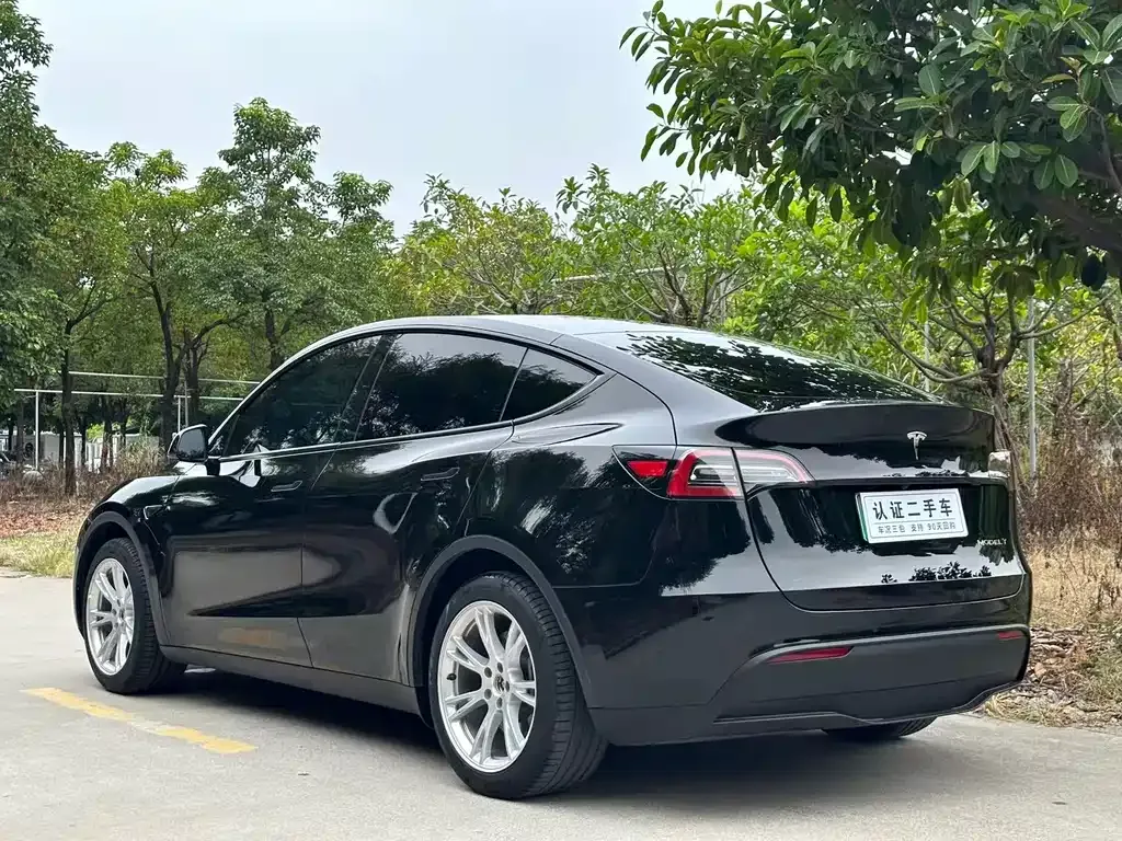 Tesla Model Y — фото 7