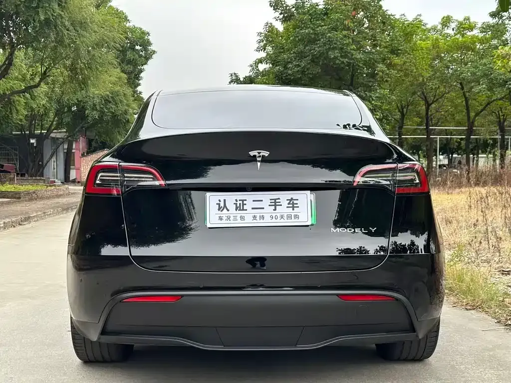 Tesla Model Y — фото 8