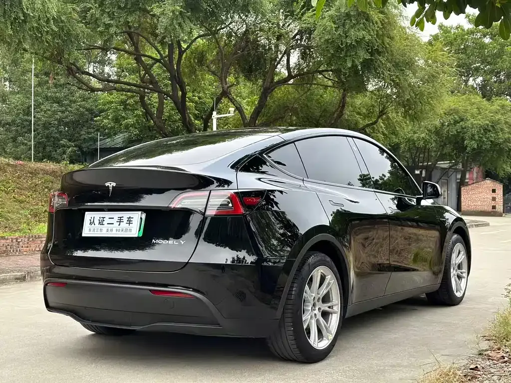 Tesla Model Y — фото 9