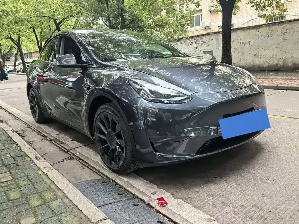 Tesla Model Y — фото 1