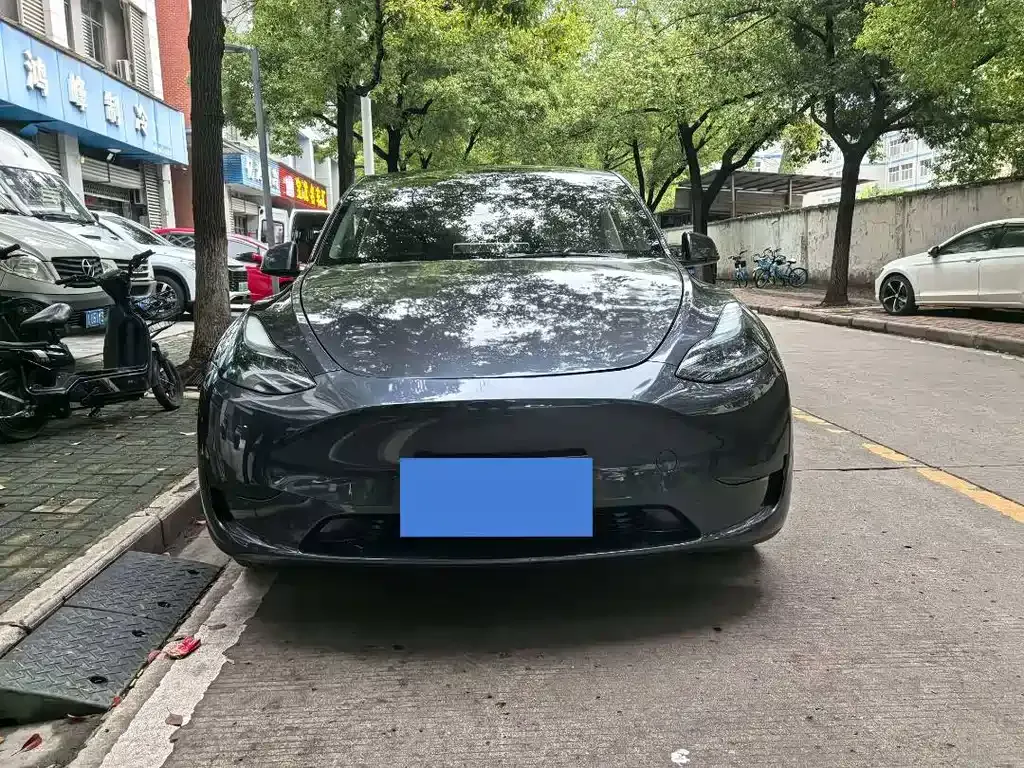 Tesla Model Y — фото 2