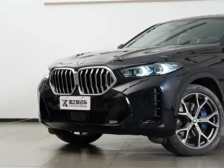 BMW X6 — фото 4