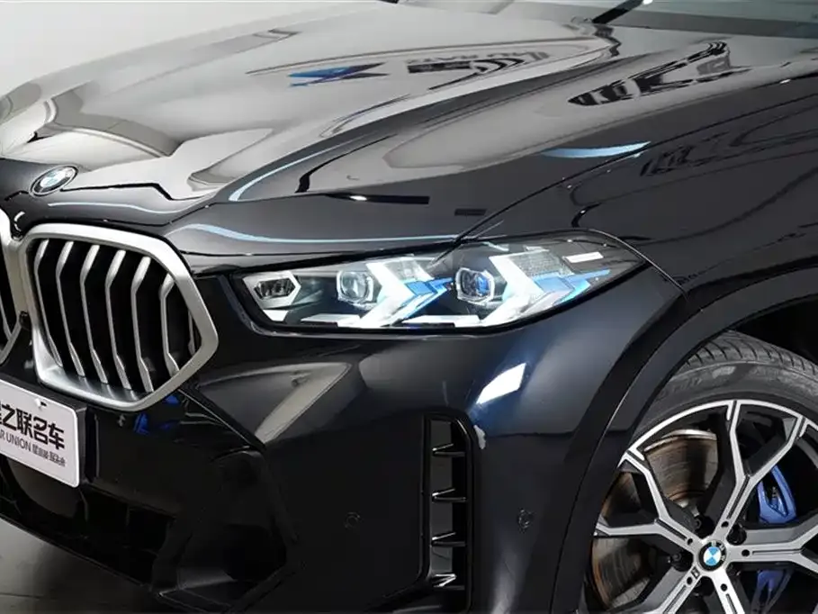 BMW X6 — фото 5