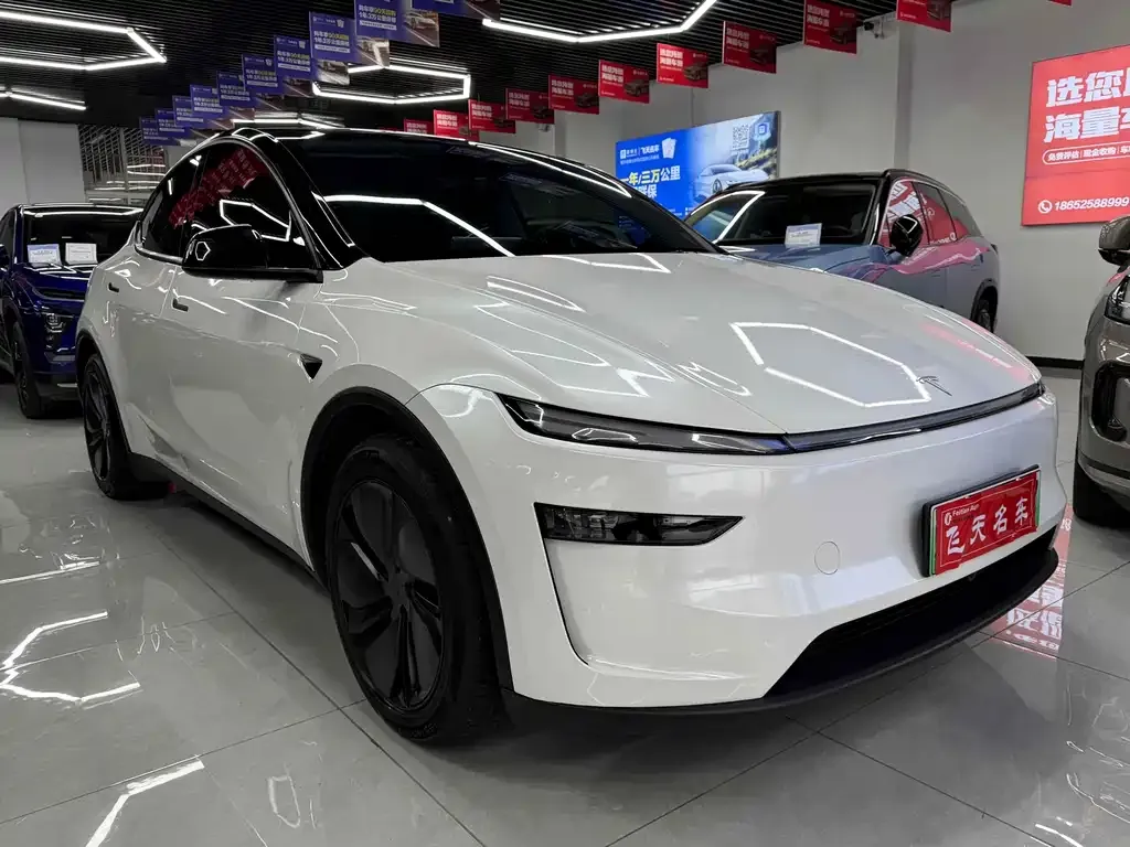 Tesla Model Y — фото 1