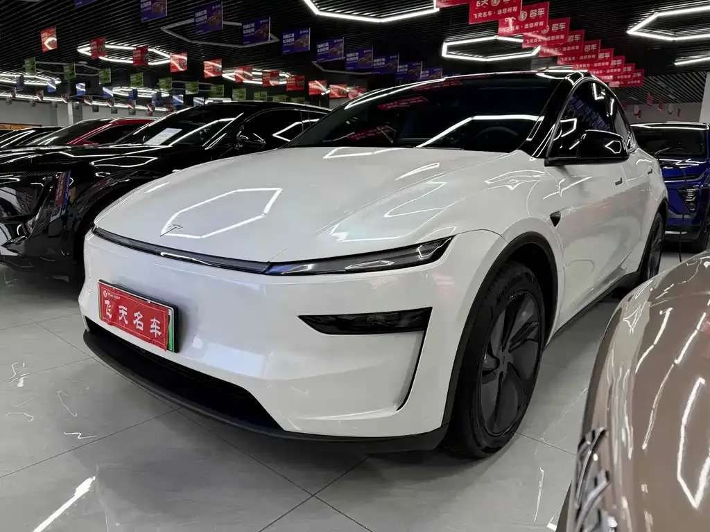 Tesla Model Y — фото 2