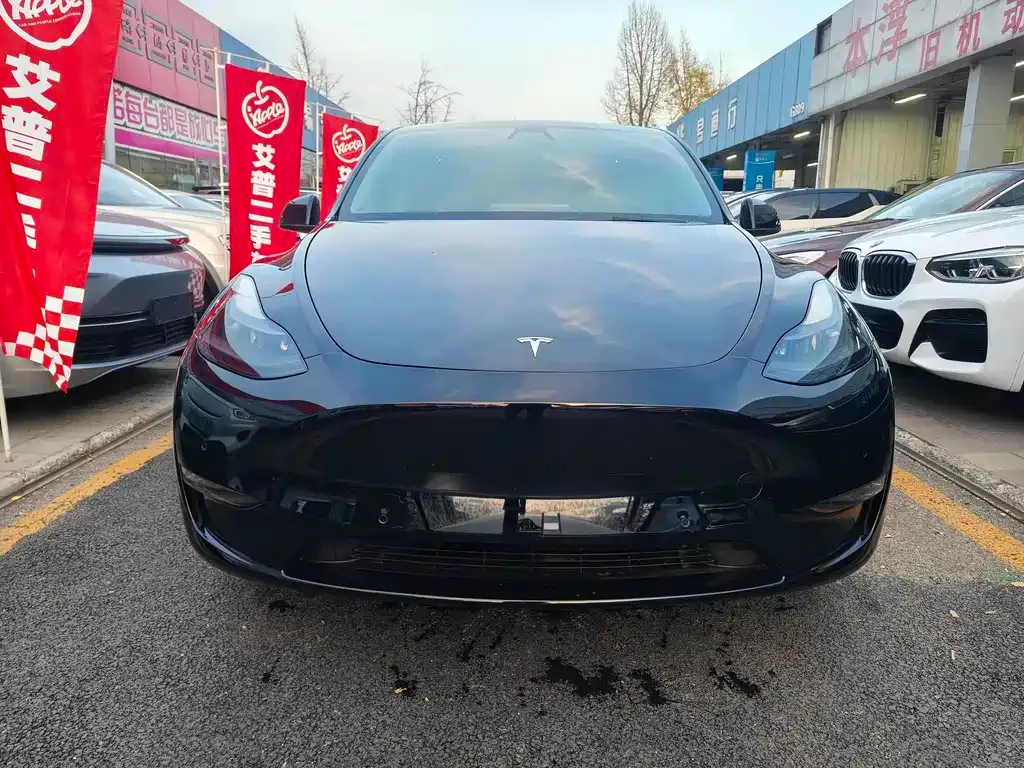 Tesla Model Y — фото 1