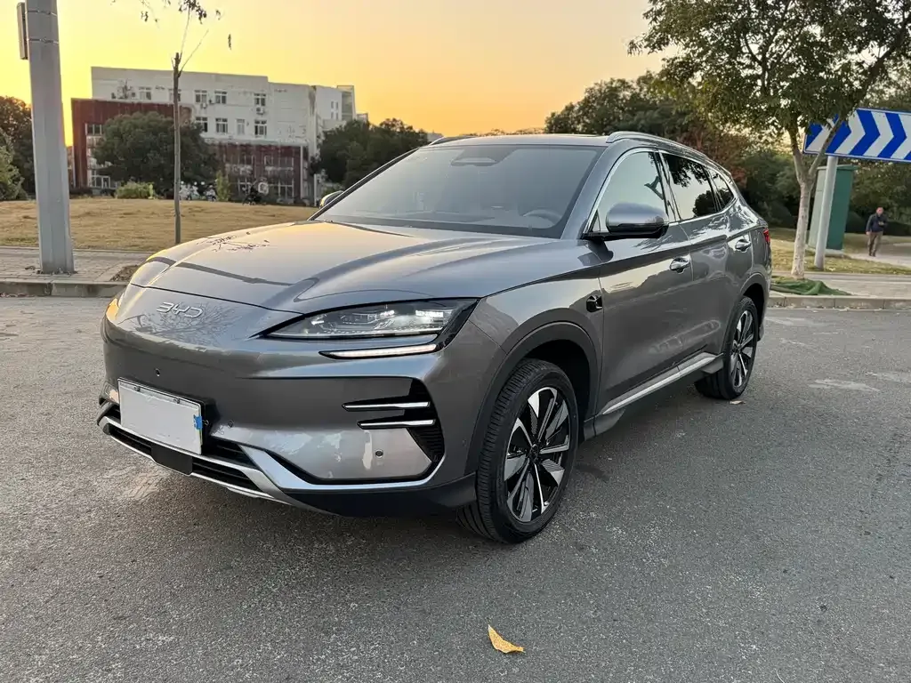 BYD PLUS New Energy — фото 1