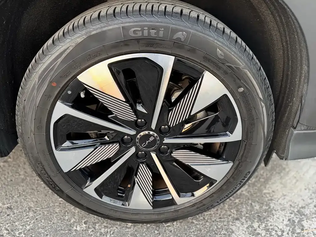 BYD PLUS New Energy — фото 10