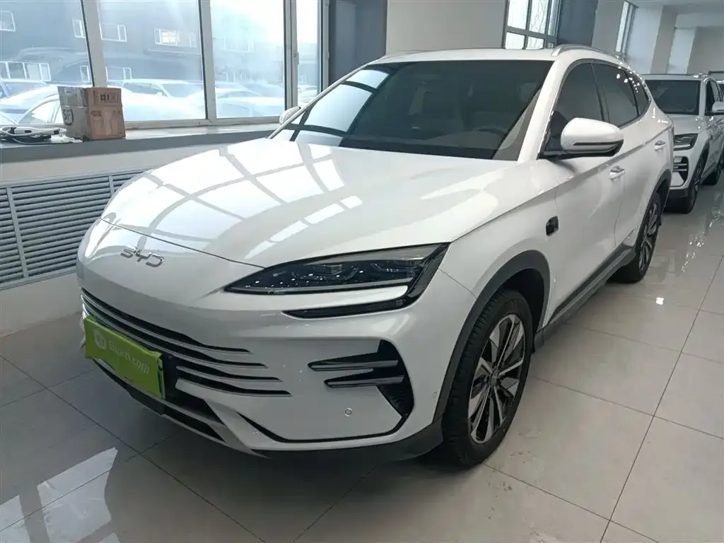 BYD PLUS New Energy — фото 1