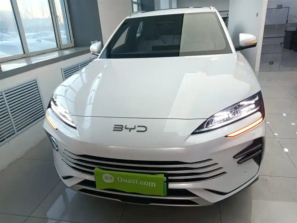 BYD PLUS New Energy — фото 3