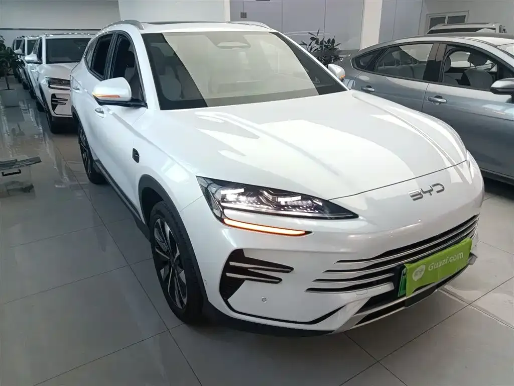 BYD PLUS New Energy — фото 4