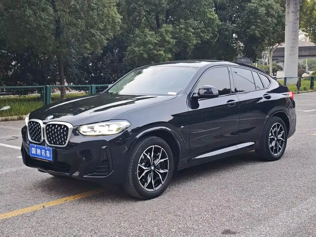 BMW X4 — фото 1