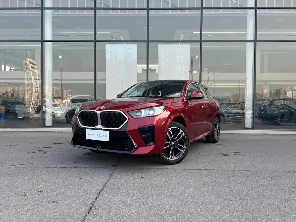 BMW X2 (Import) — фото 1