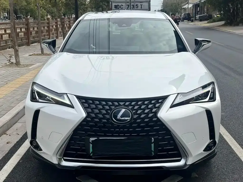 Lexus UX New Energy — фото 1