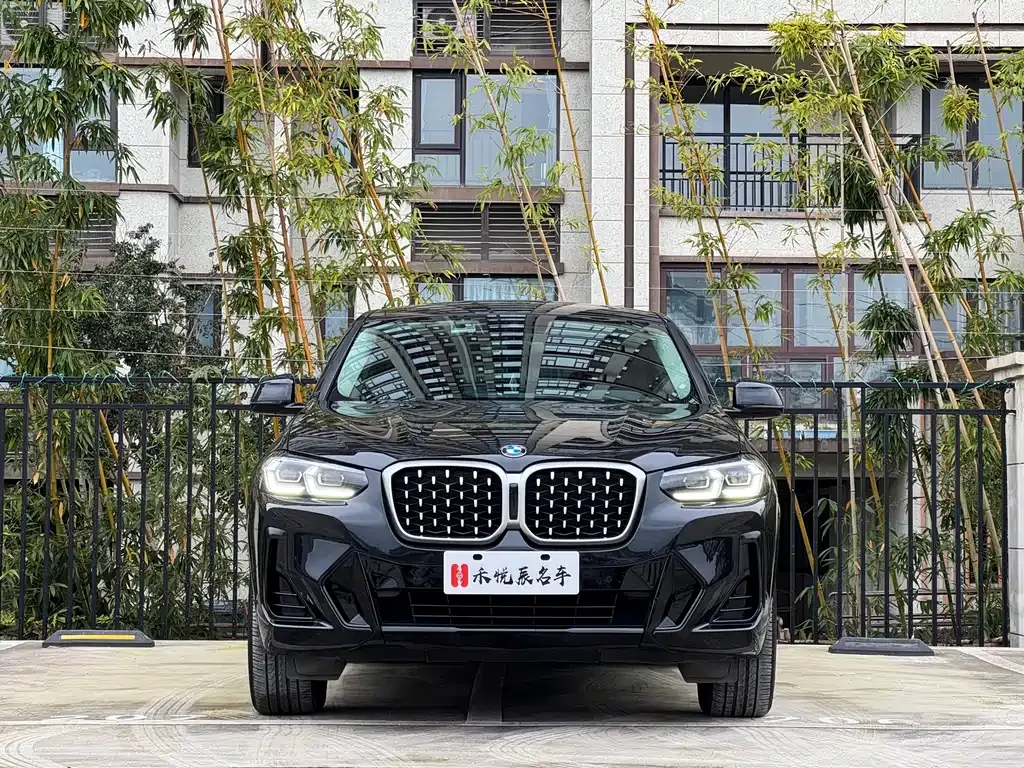 BMW X4 — фото 10