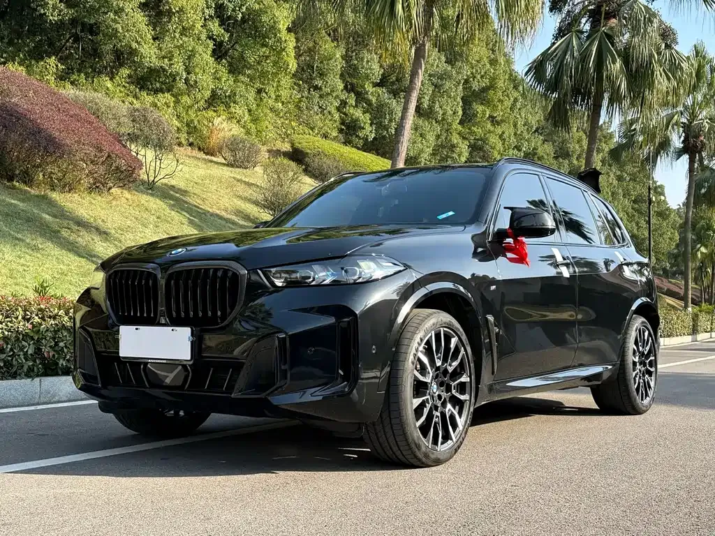 BMW X5 — фото 1