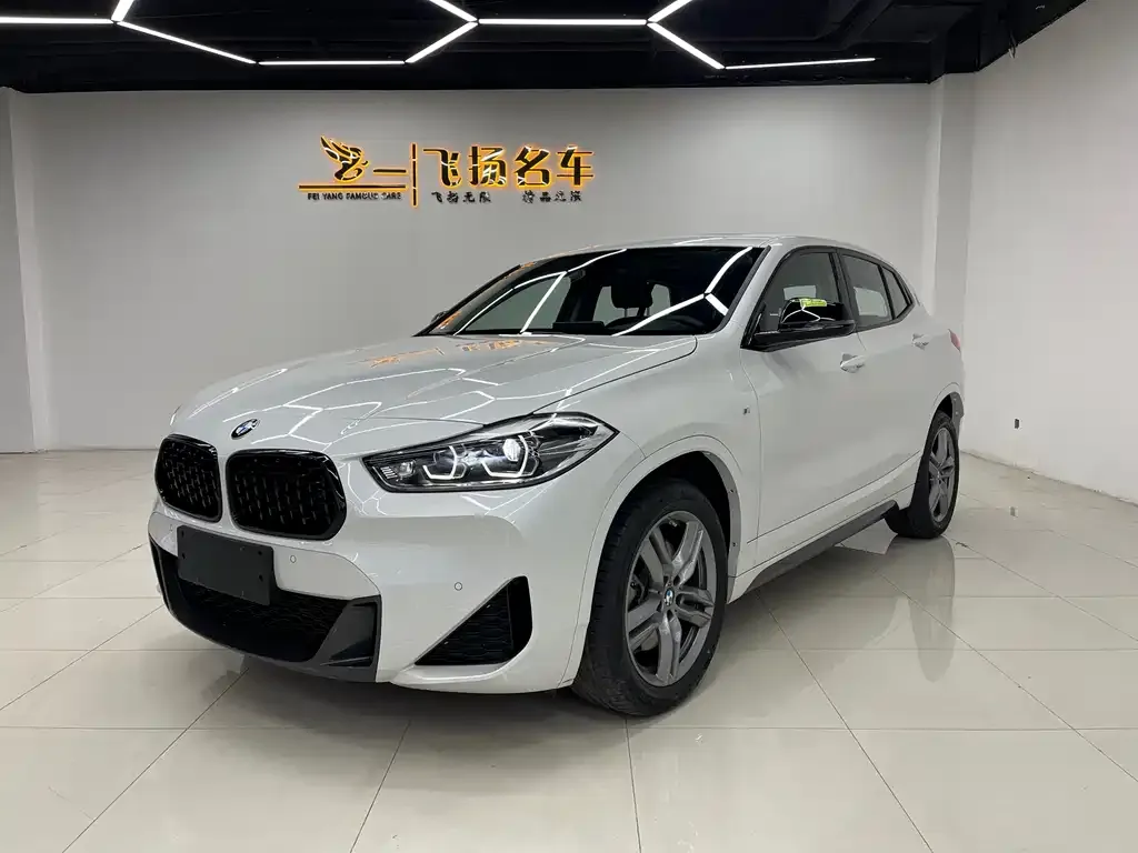 BMW X2 — фото 1