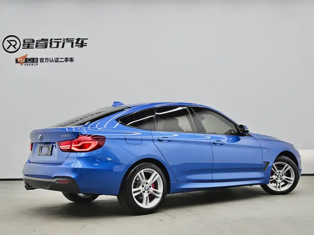 BMW 3 Series GT — фото 9