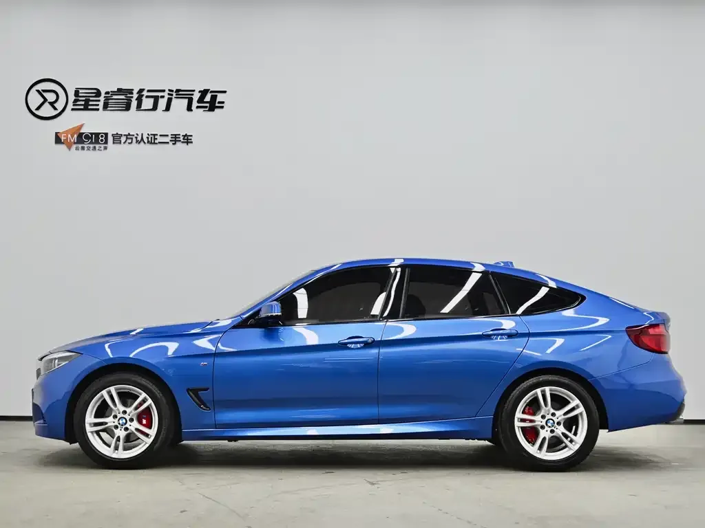 BMW 3 Series GT — фото 6