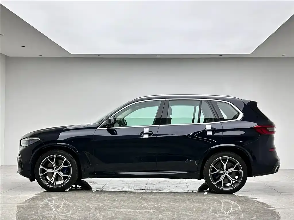 BMW X5 (Import) — фото 6