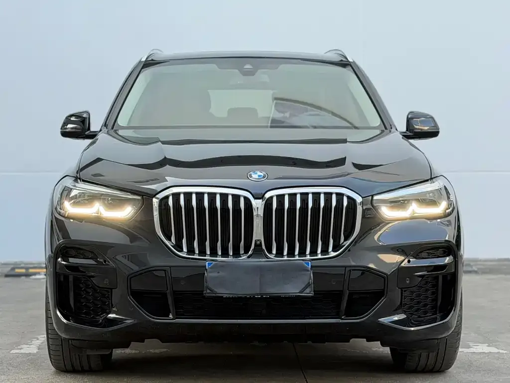 BMW X5 (Import) — фото 1