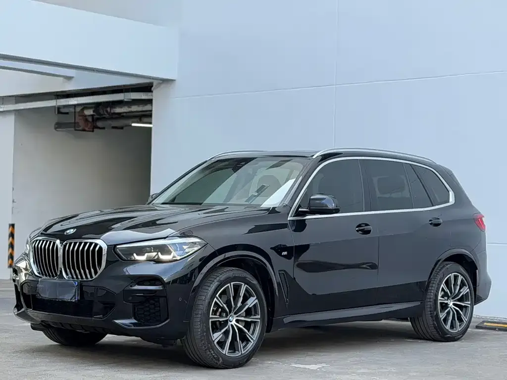 BMW X5 (Import) — фото 9