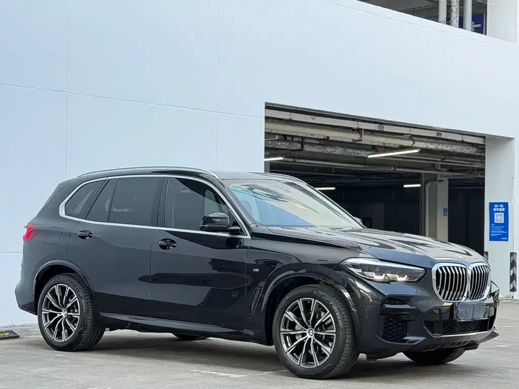BMW X5 (Import) — фото 4