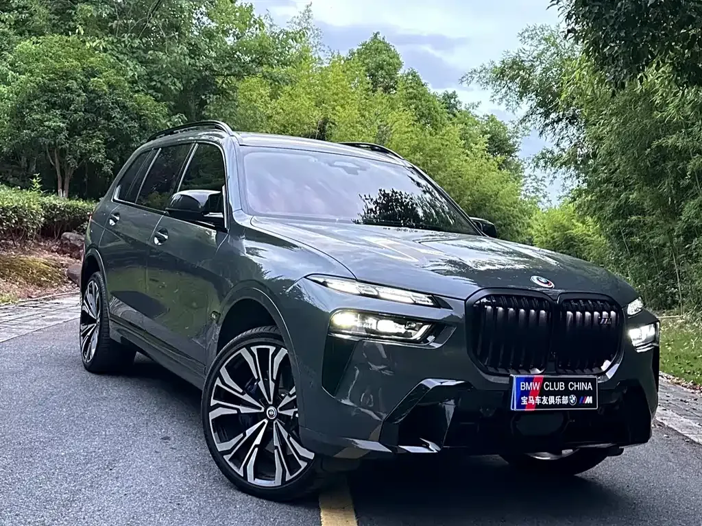 BMW X7 — фото 1