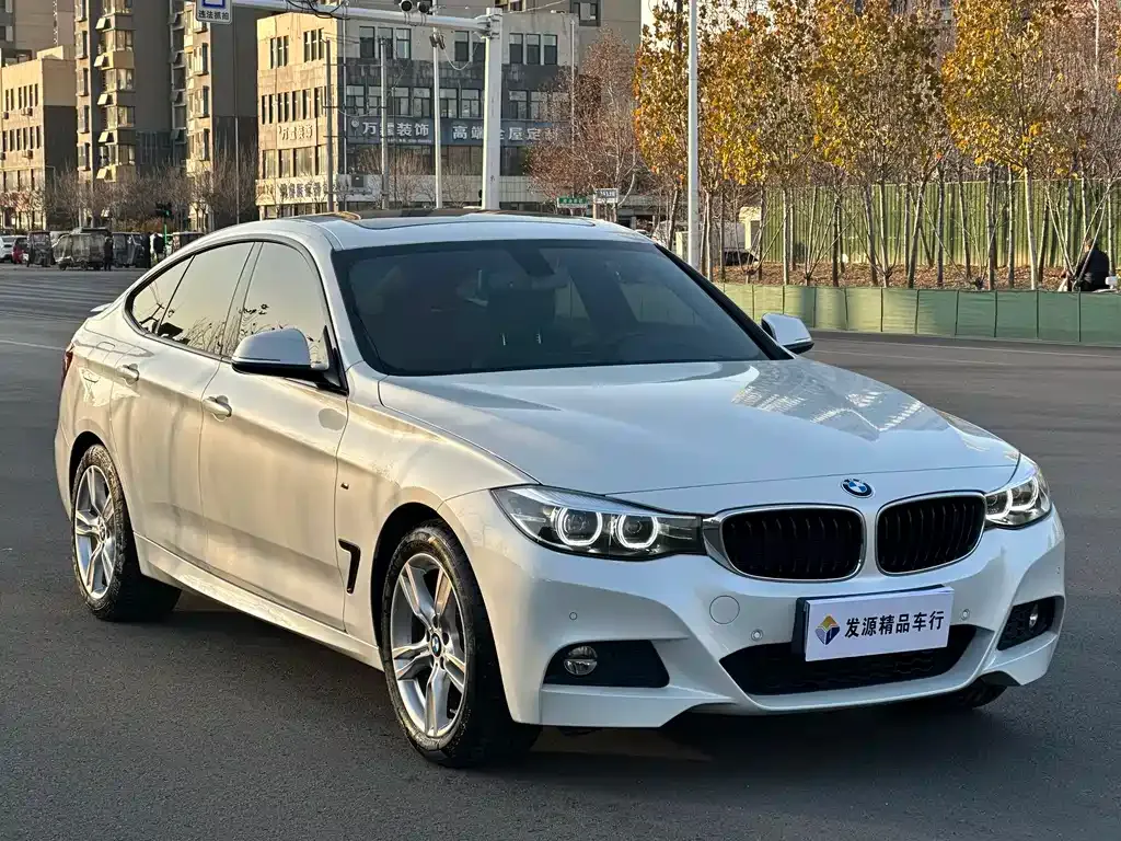 BMW 3 Series GT — фото 9