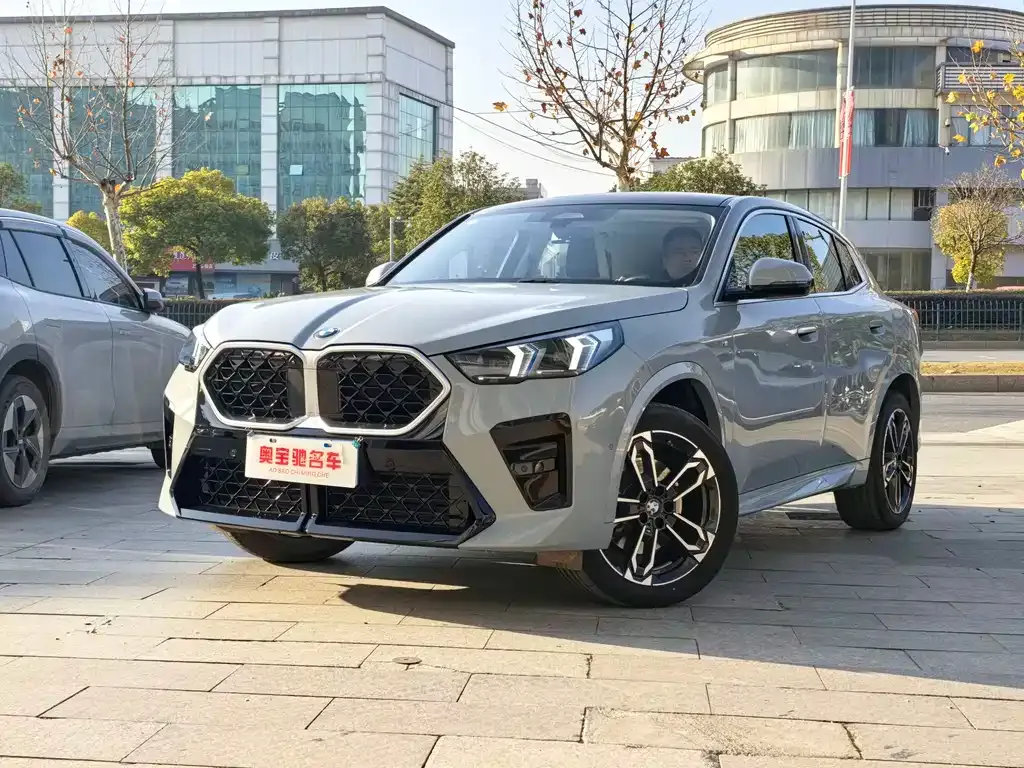 BMW X2 (Import) — фото 1