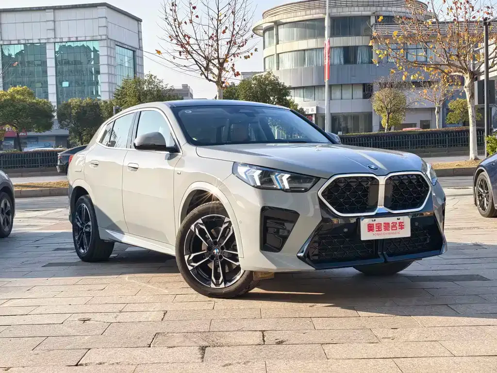 BMW X2 (Import) — фото 8