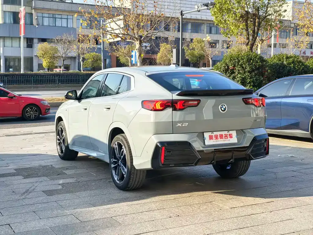 BMW X2 (Import) — фото 10