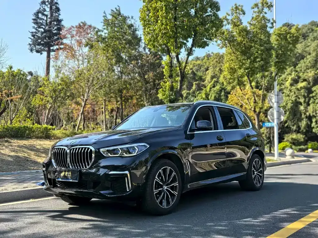 BMW X5 (Import) — фото 1