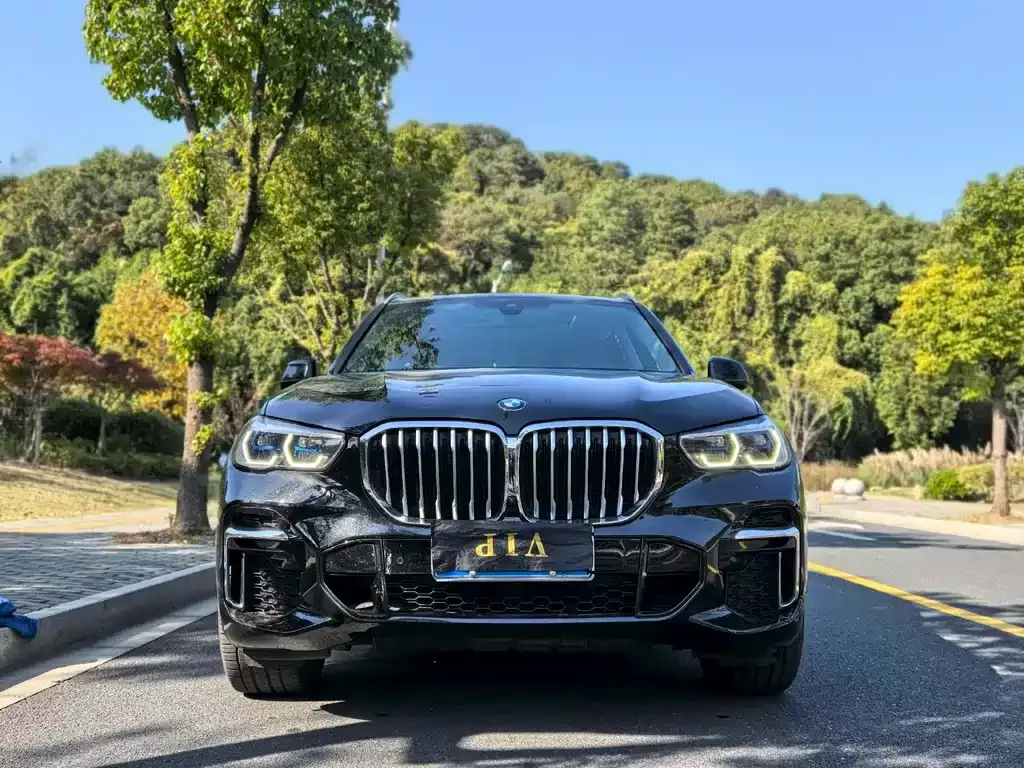 BMW X5 (Import) — фото 8