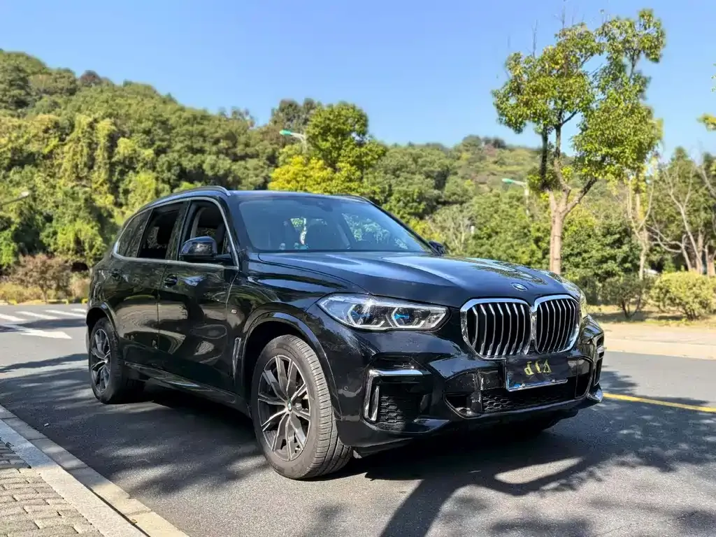 BMW X5 (Import) — фото 9