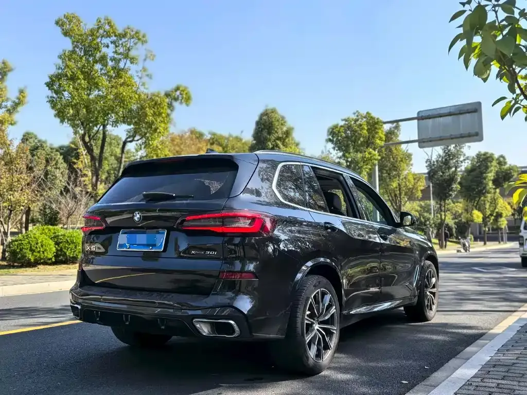 BMW X5 (Import) — фото 10