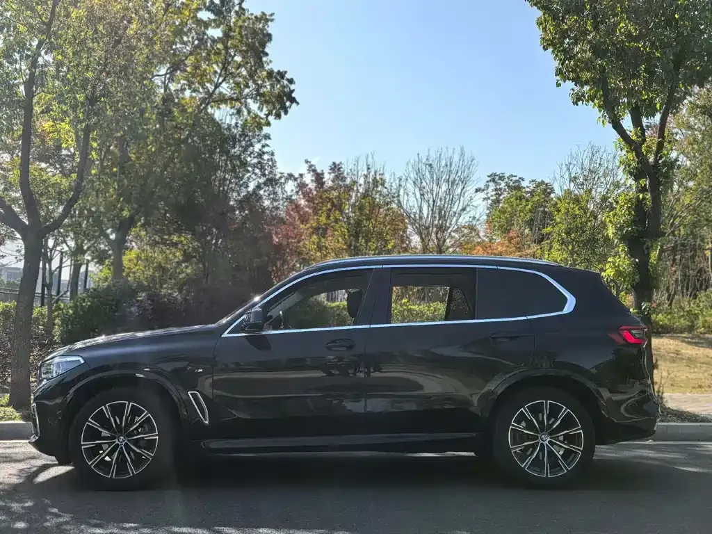 BMW X5 (Import) — фото 6