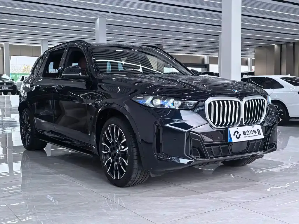 BMW X5 — фото 5