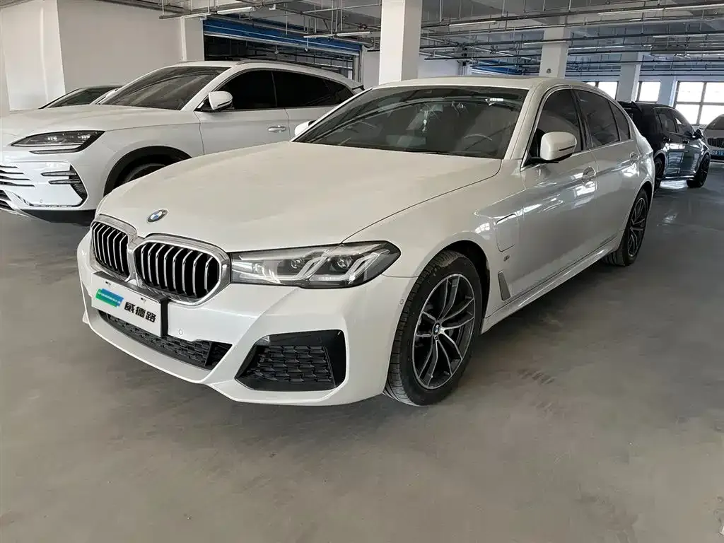 BMW 5 Series New Energy — фото 1