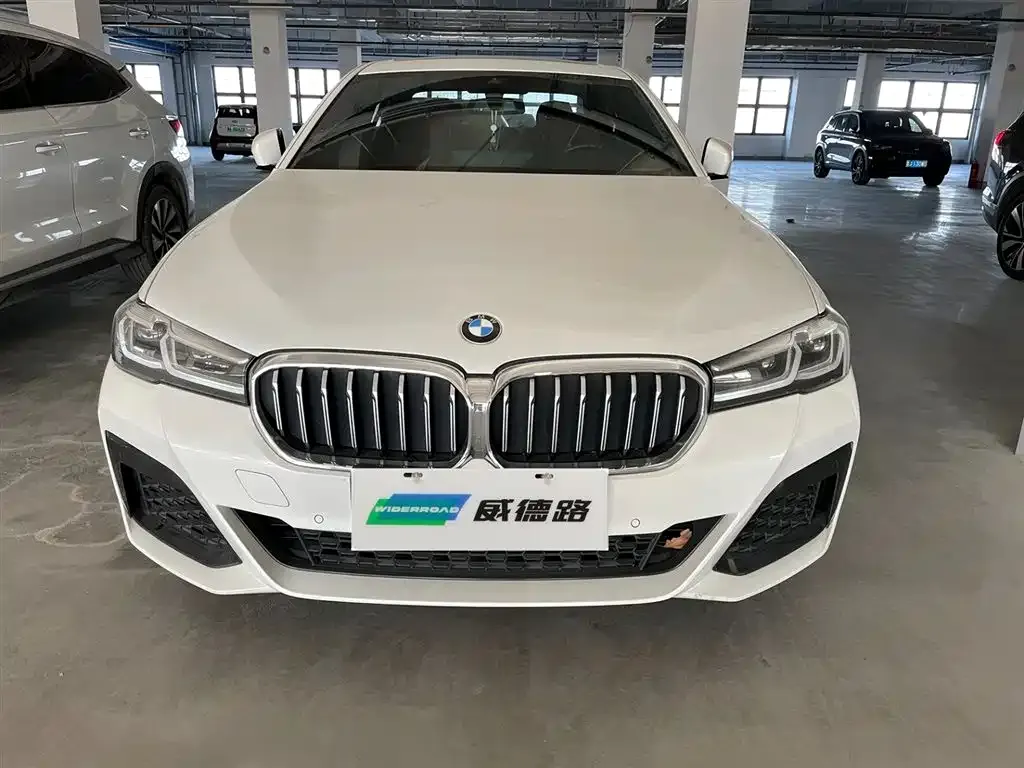 BMW 5 Series New Energy — фото 4