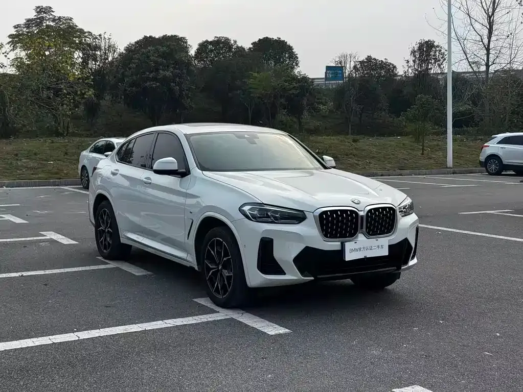 BMW X4 — фото 8