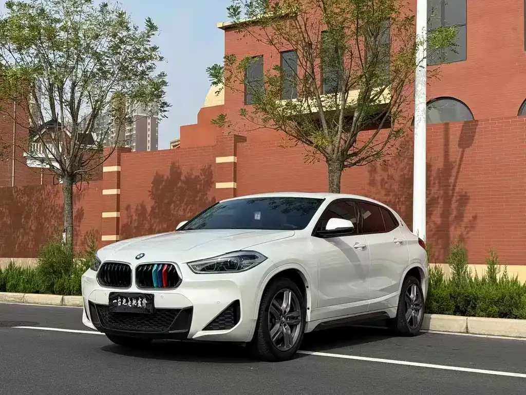 BMW X2 — фото 1